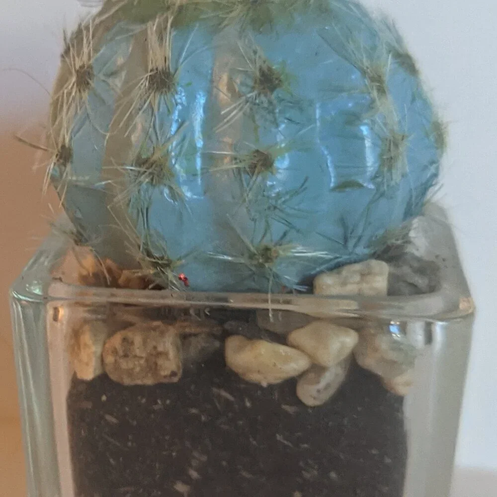 NWT Ashland Faux Mini Fuzzy Cactus Pot Floral Succulent Summer Desert Michael's